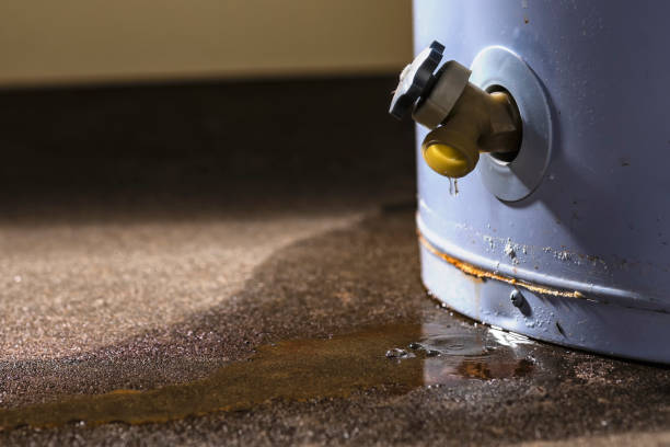 Best Sewage cleanup and water damage restoration  in Trinity, TX