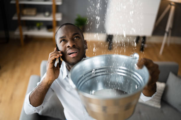 Best Flooded house restoration  in Trinity, TX