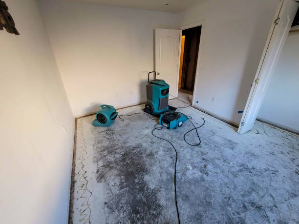 Best Flood damage cleanup  in Trinity, TX