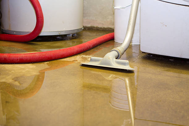 Best Basement water damage restoration  in Trinity, TX